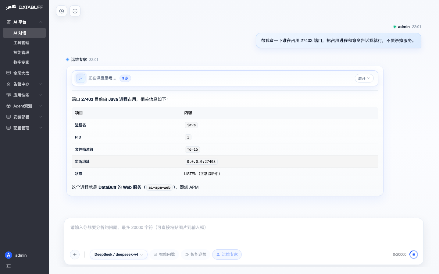 运维专家执行端口占用排查过程